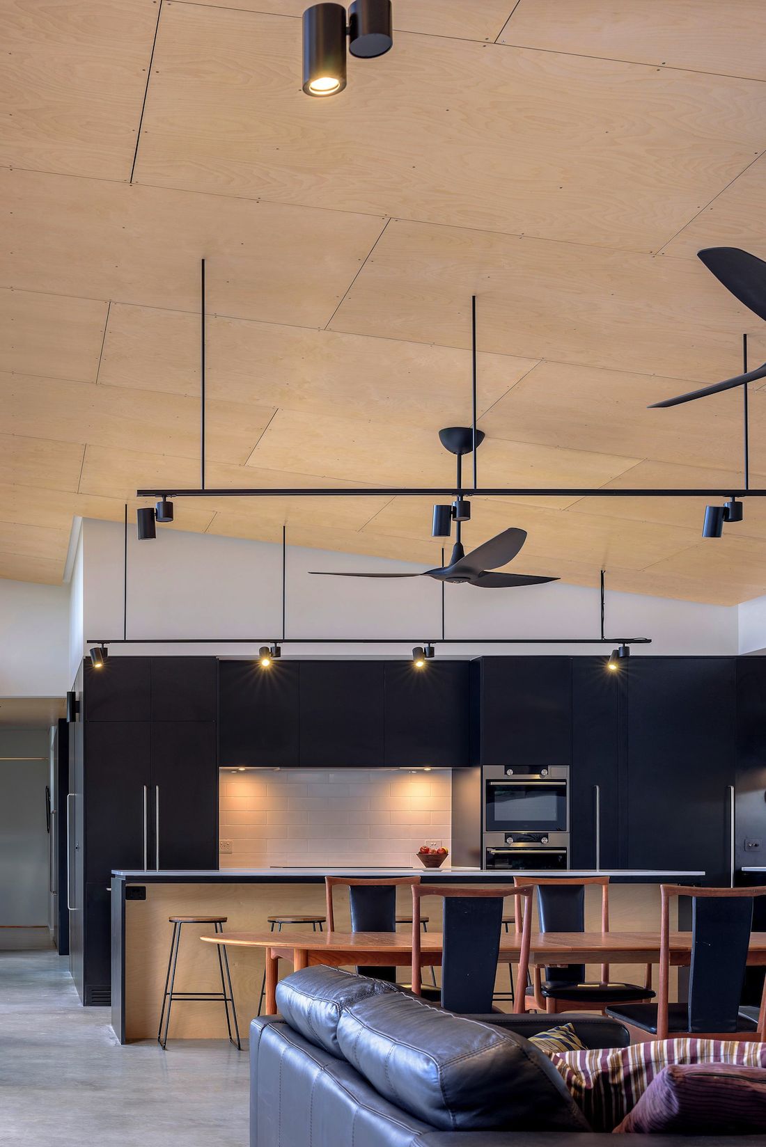 Ben Walker_Elm Grove House_kitchen dining ceilings