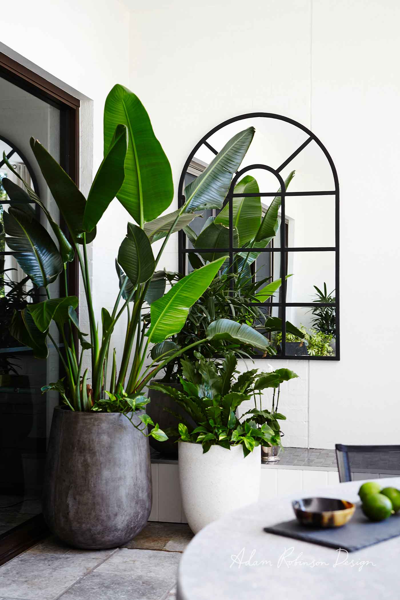 Outdoor plants for small space