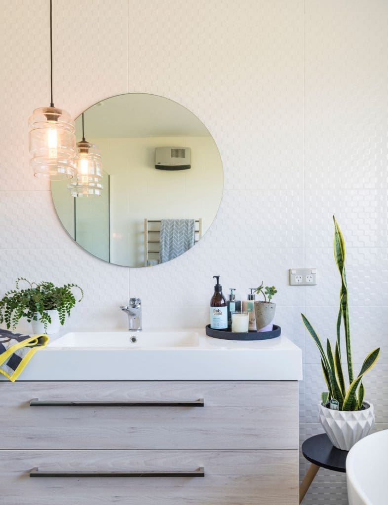 Mother in laws tongue plant in white bathroom