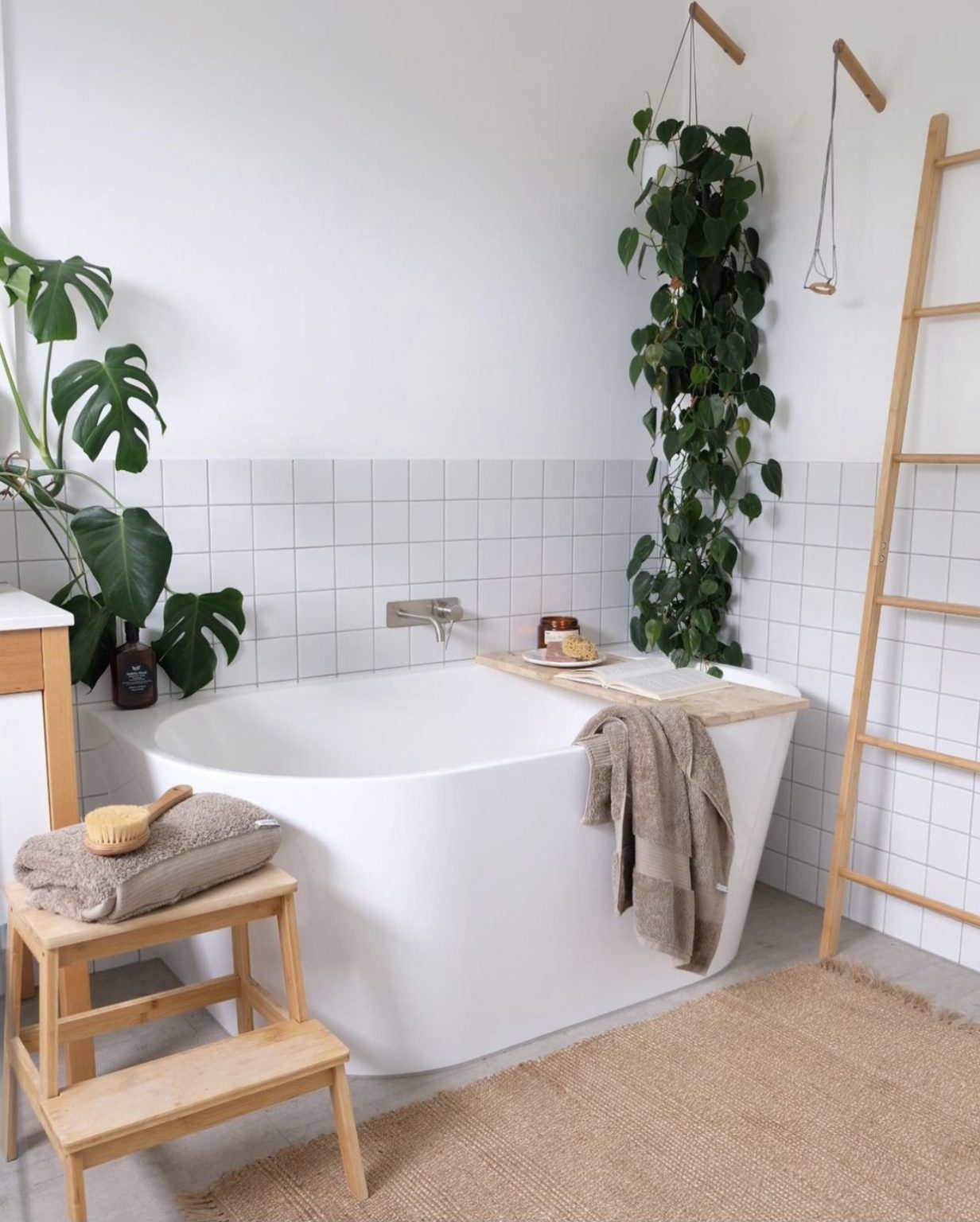 Create you own tropical jungle: 10 plants that thrive in the bathroom ...