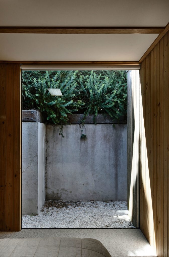 Large window looking out to concrete wall and greenery