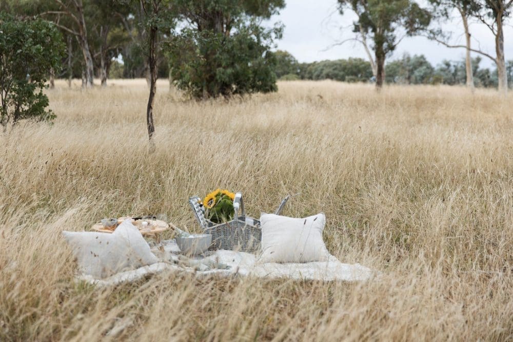 Picnic in the Australian bush