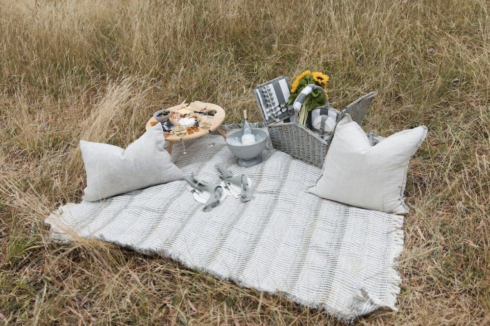 Water Repellent Picnic Rug - IPPINKA