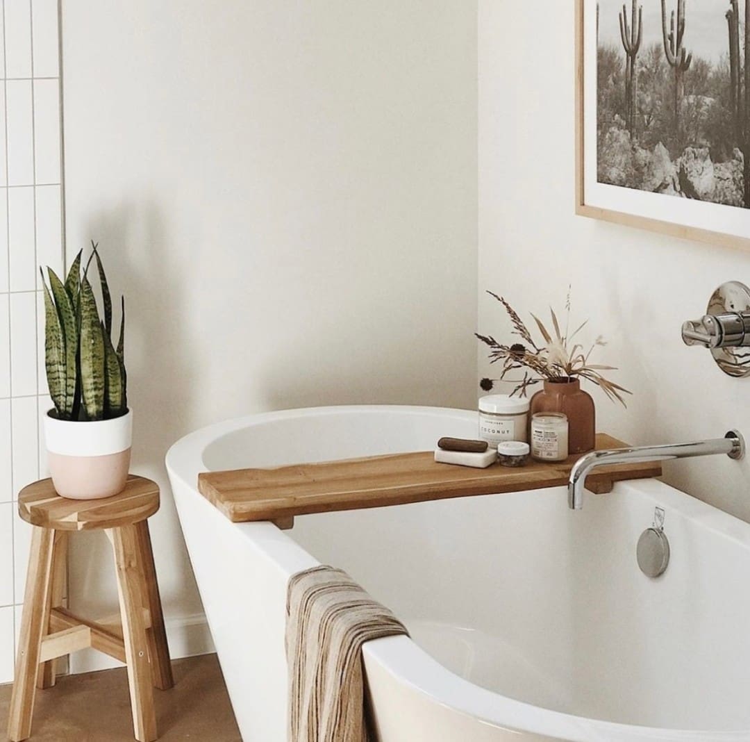 Snake plant in bathroom