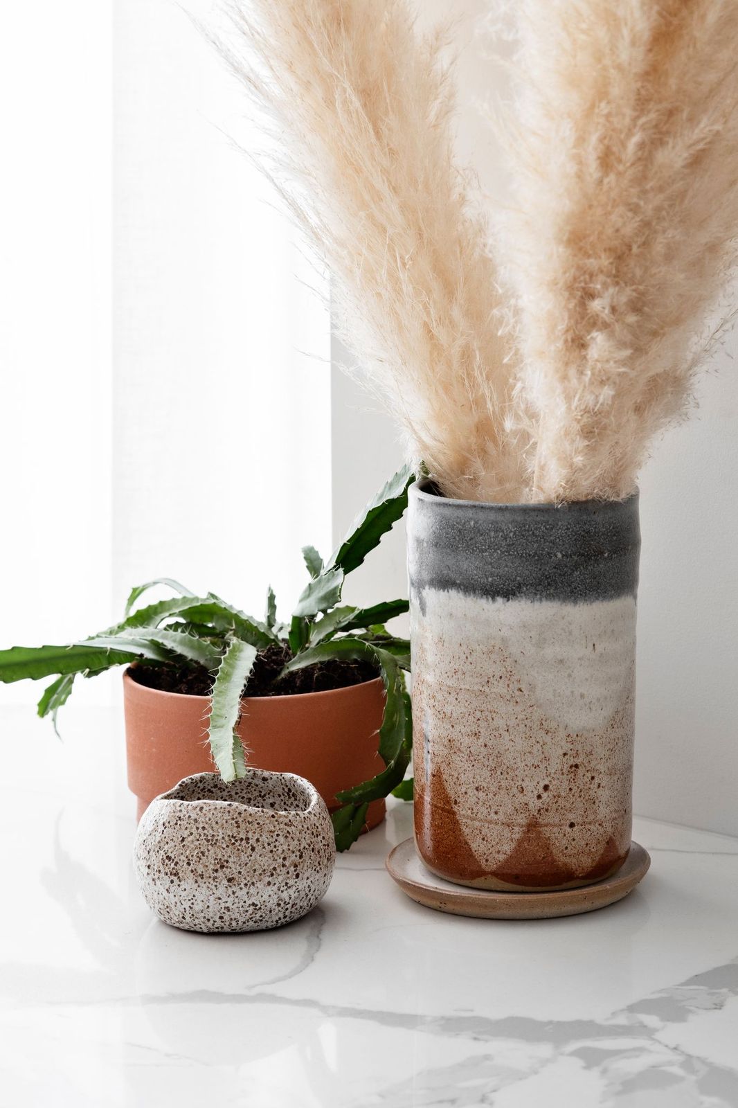 Ceramic pieces and indoor plant in kitchen vignette