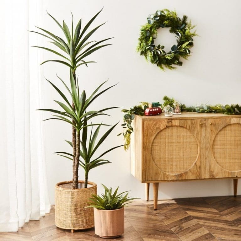 Where to shop the best faux indoor plants Style Curator