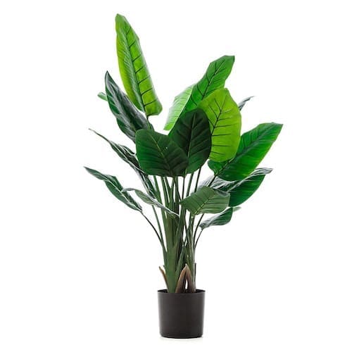 Faux bird of paradise indoor plant