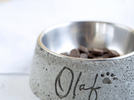 DIY dog bowl