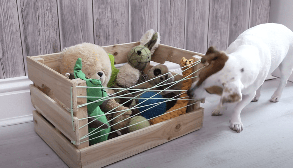 Dog toy box DIY projects for dogs