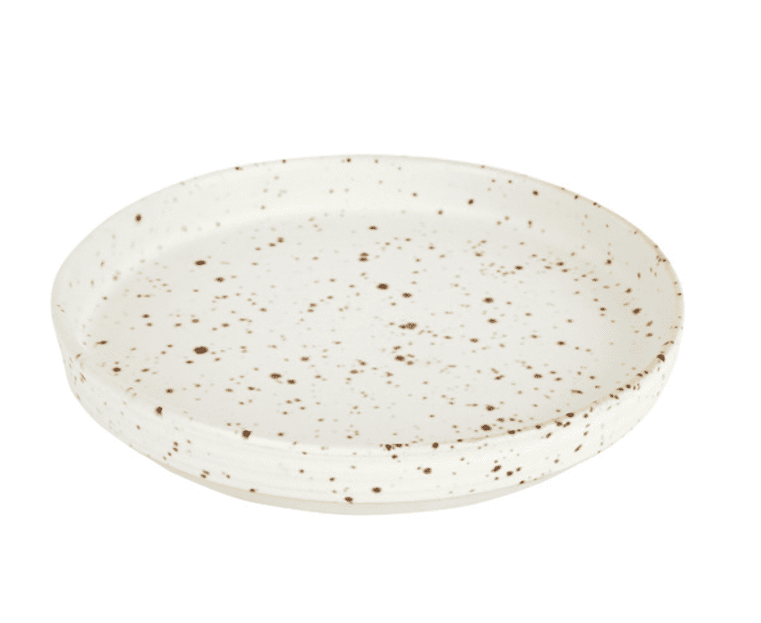 Speckled dinner plate