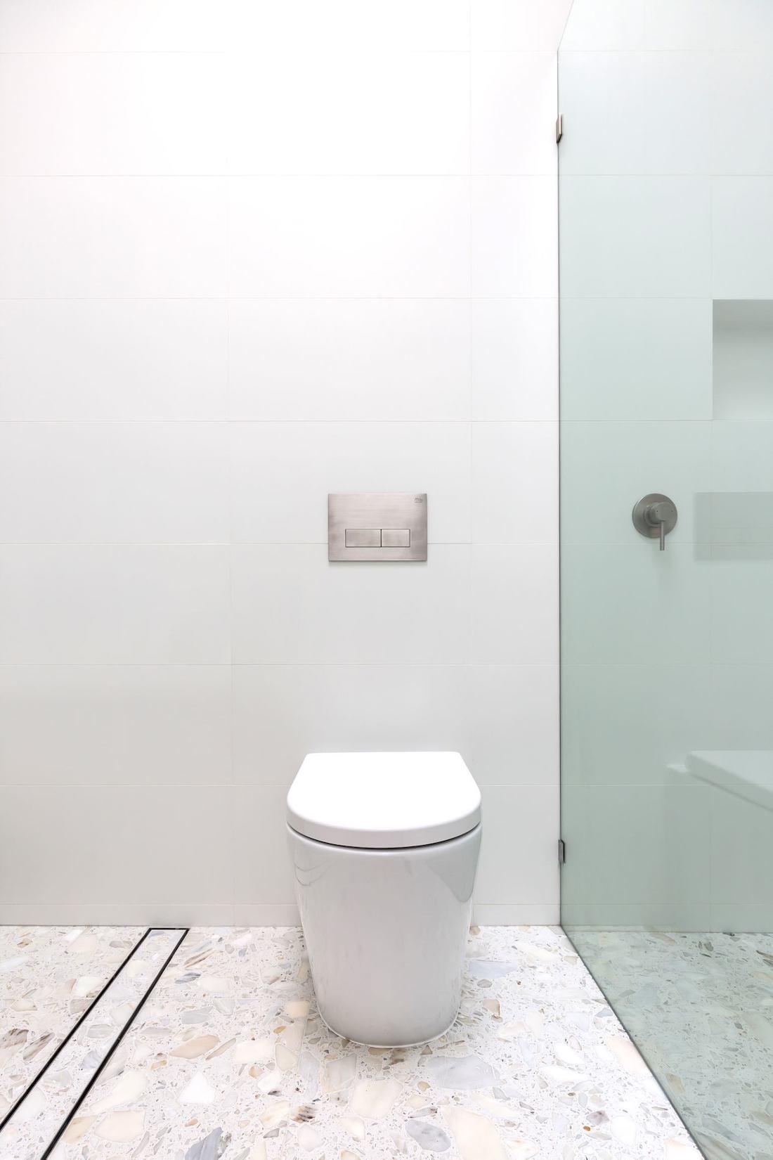 Milu toilet with brushed backplate