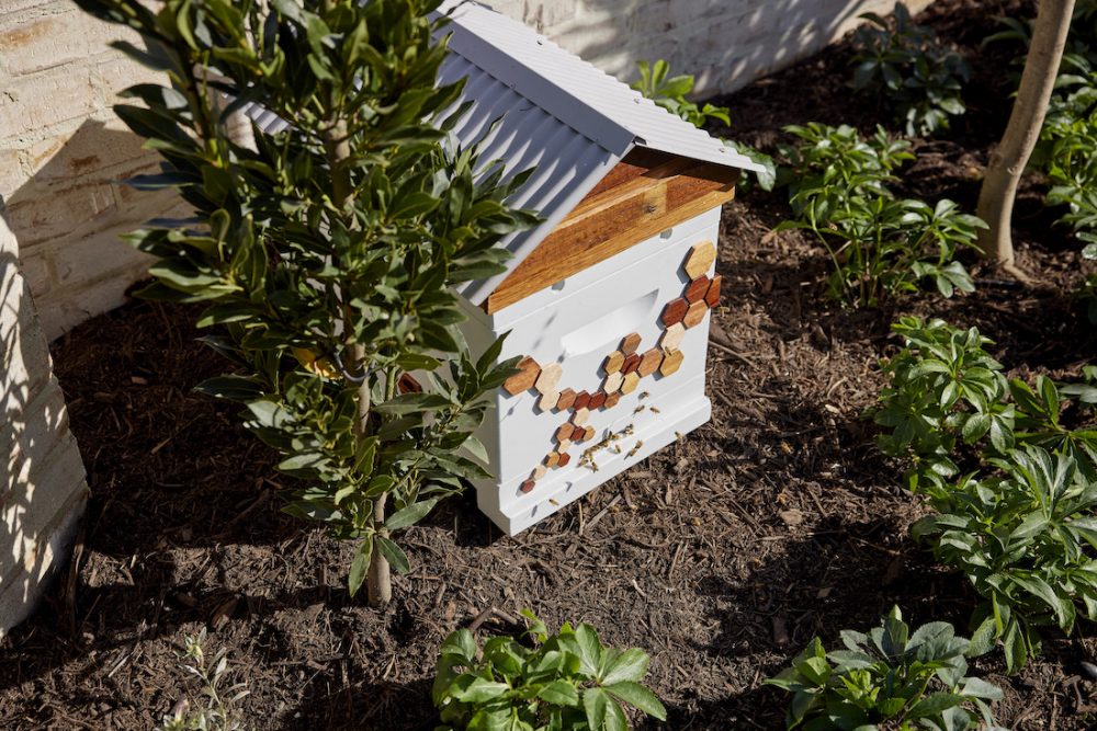 Bee hive in suburban garden