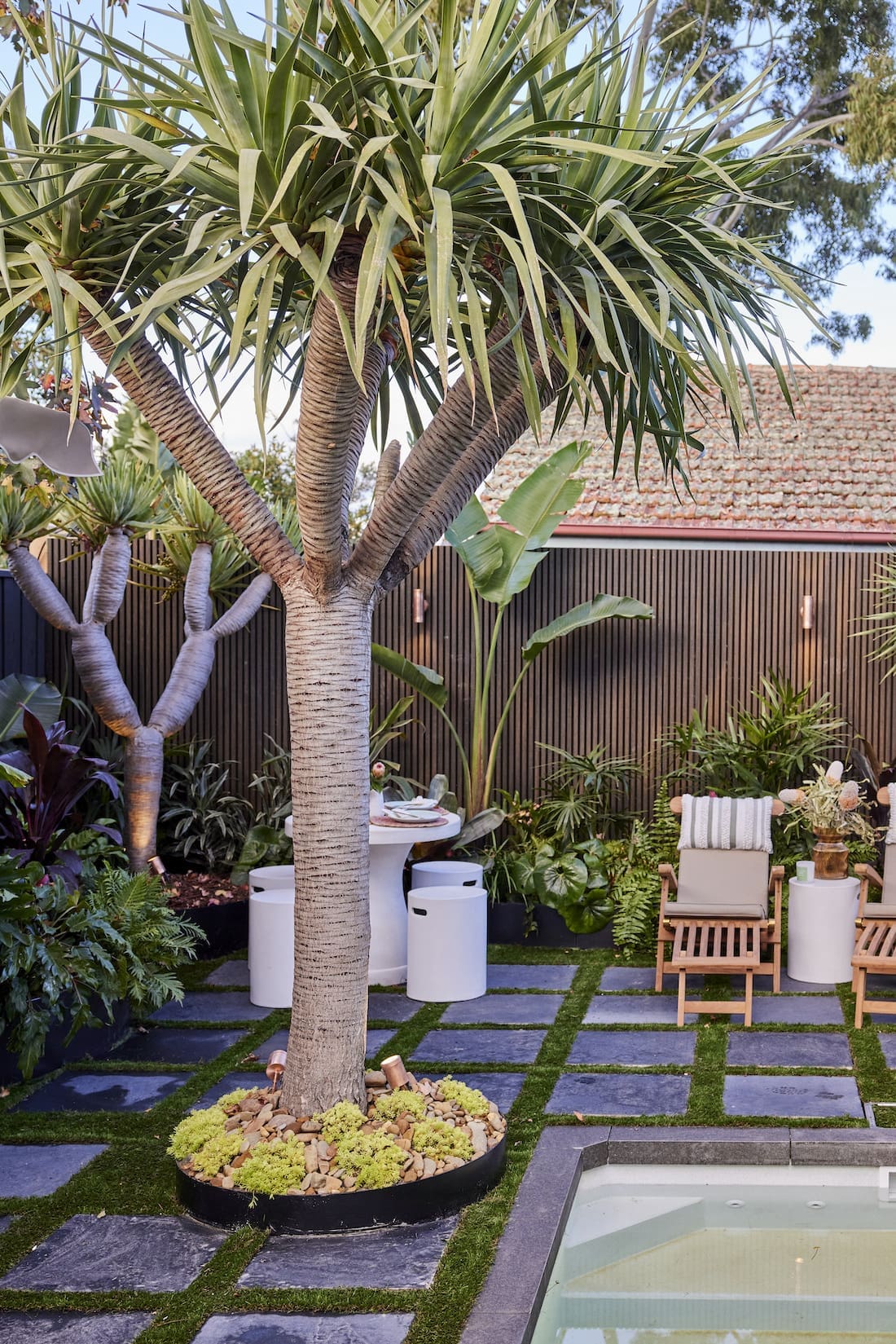 Established trees in backyard