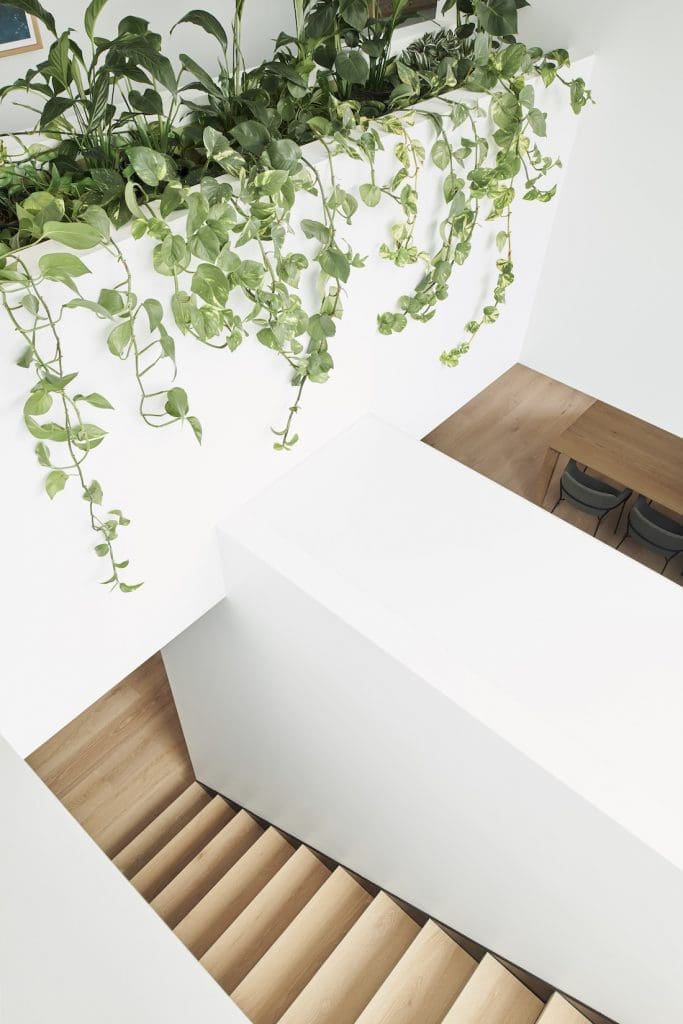 Dot+PopAlbertParkHometour_ terrace house renovation _stiarcasefull