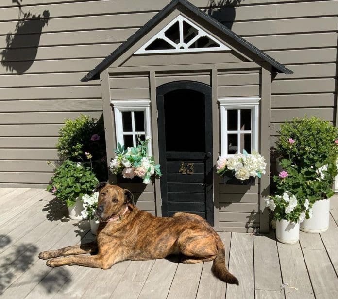 Outdoor Kmart hacks to spruce up your outdoors Style Curator — free download