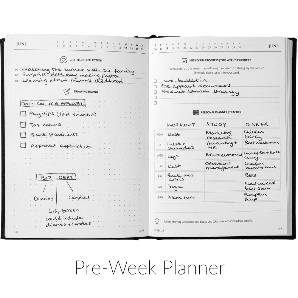 weekly planner stylish diaries