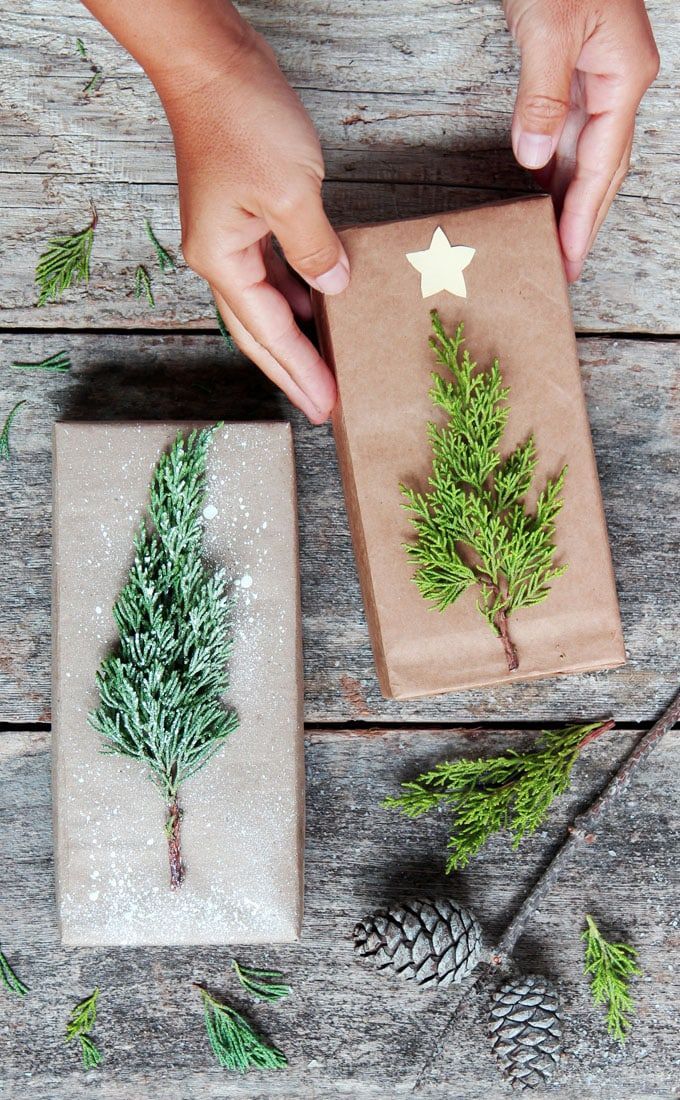Christmas gift wrapping ideas_Branchredo2021