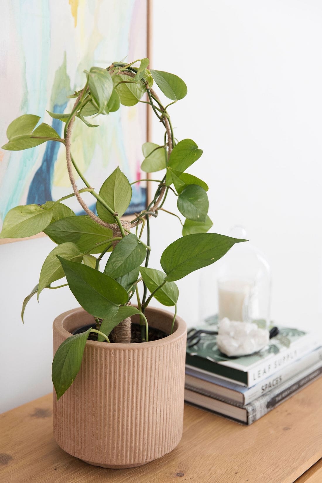 DIY plant trellis in pink pot