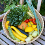 Homegrown vegetables to grow in summer