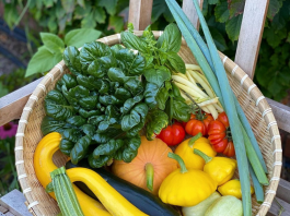 Homegrown vegetables to grow in summer