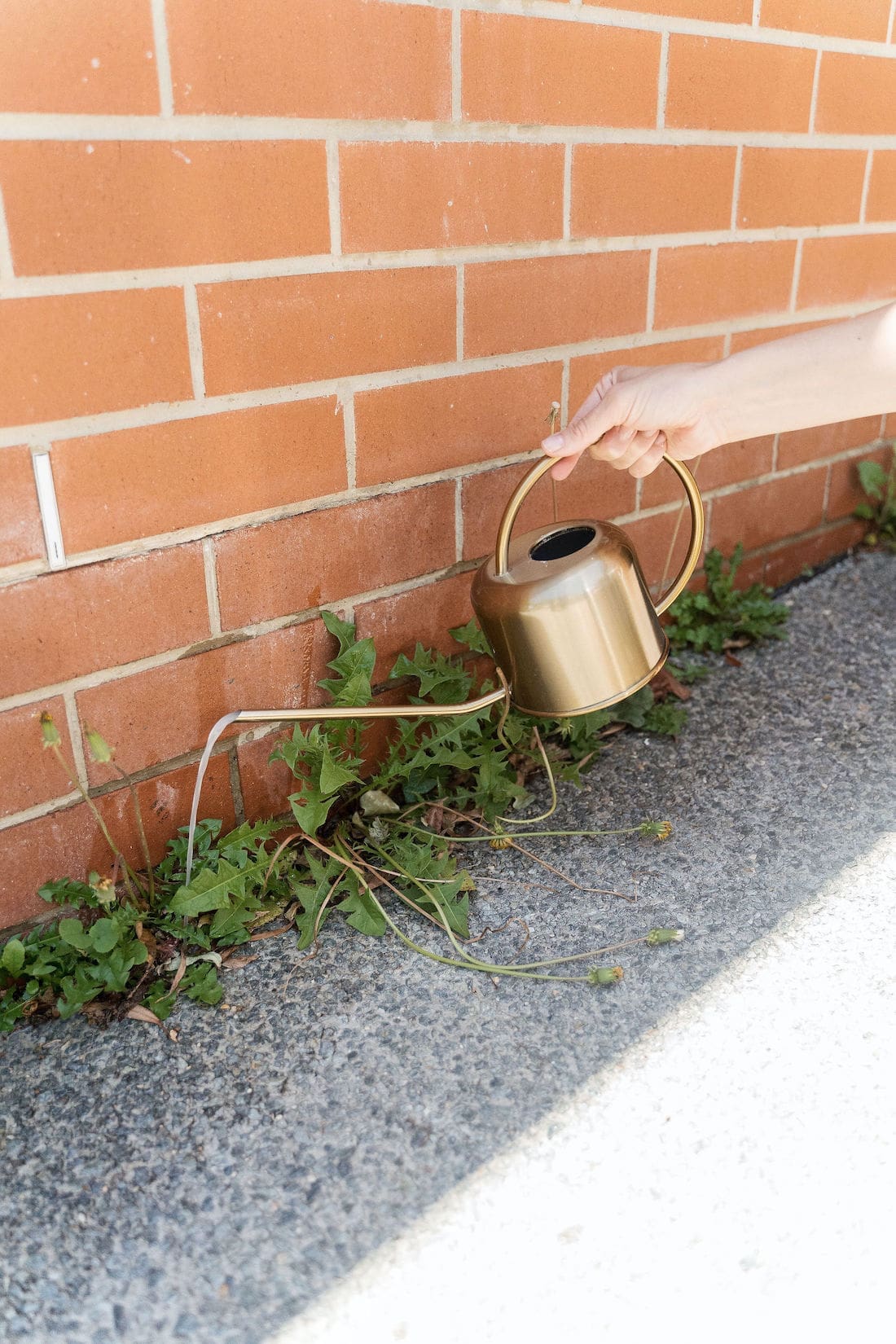 Pouring natural weed killer onto weeds