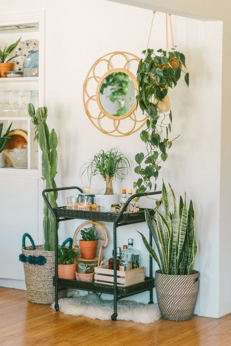 Bar cart with plants _ styling an empty corner