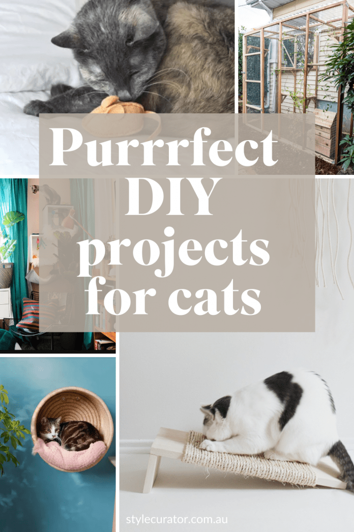 Catify your home with these purrrfect DIY projects for cats Style Curator
