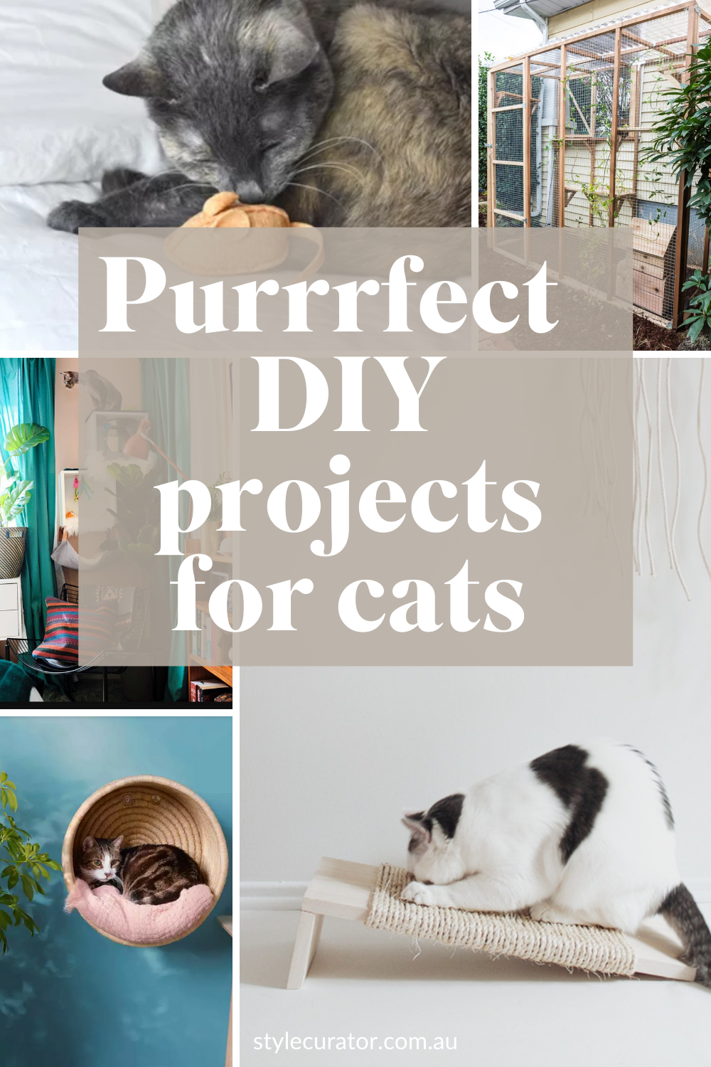 Best DIY projects for cats