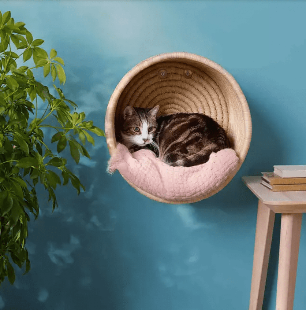 Wall hanging cat basket