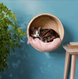 Catify your home with these purrrfect DIY projects for cats | Style Curator