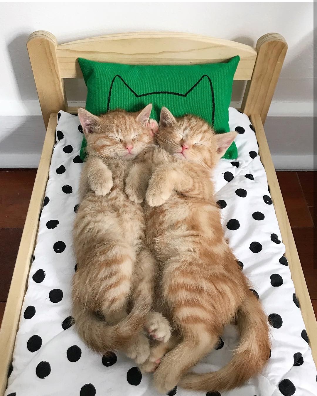 IKEA dolls bed for cats