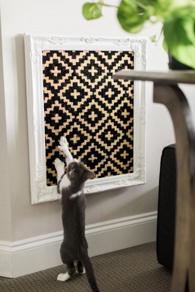Door mat on wall for cat scratching