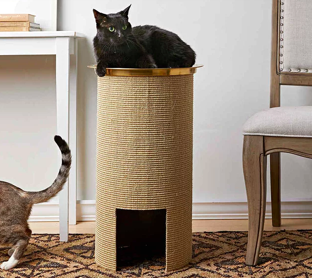 Sophisticated cat scratching post from Martha Stewart