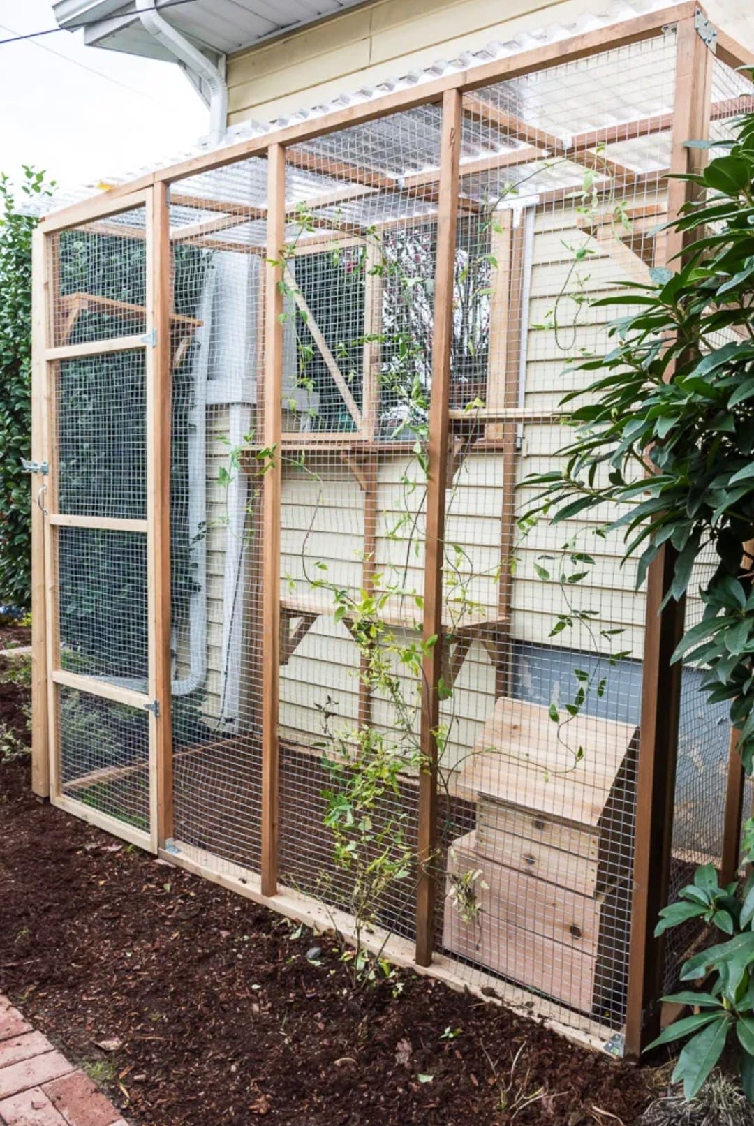 Catio cat enclosure