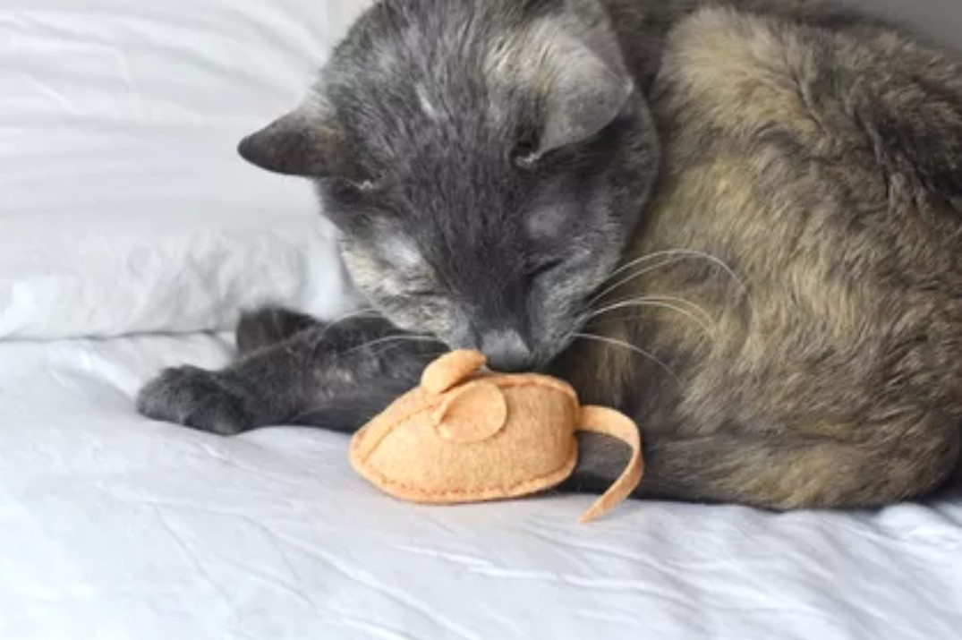 Catnip mouse toy