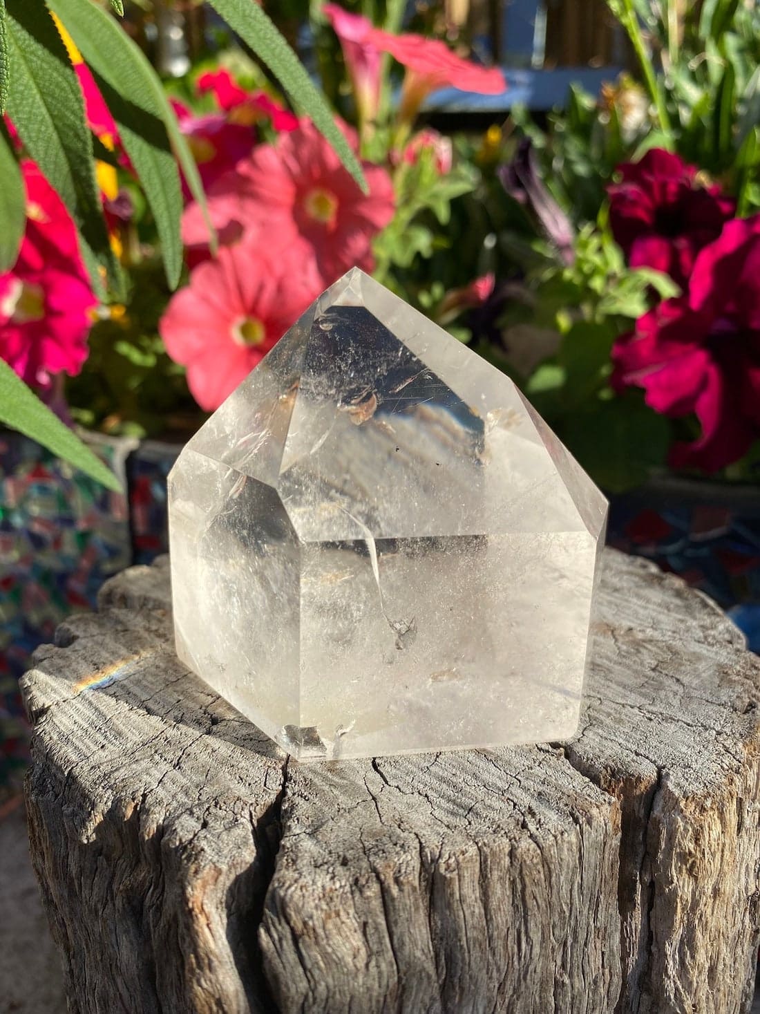 Clear Quartz on log