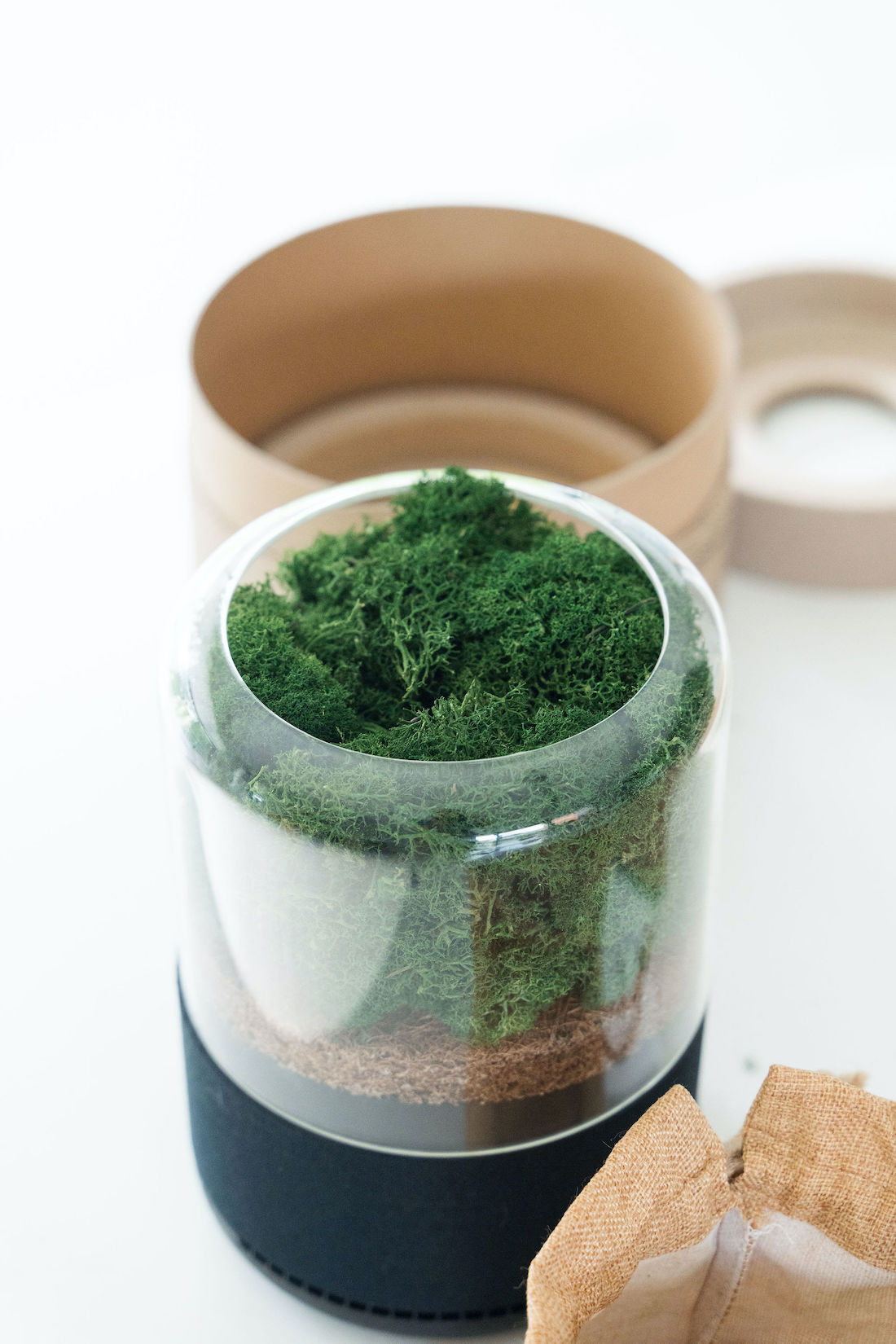 Cool green moss air filter