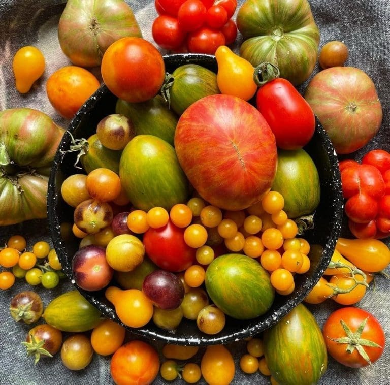 What to grow in autumn in Australia Autumn planting guide Style Curator