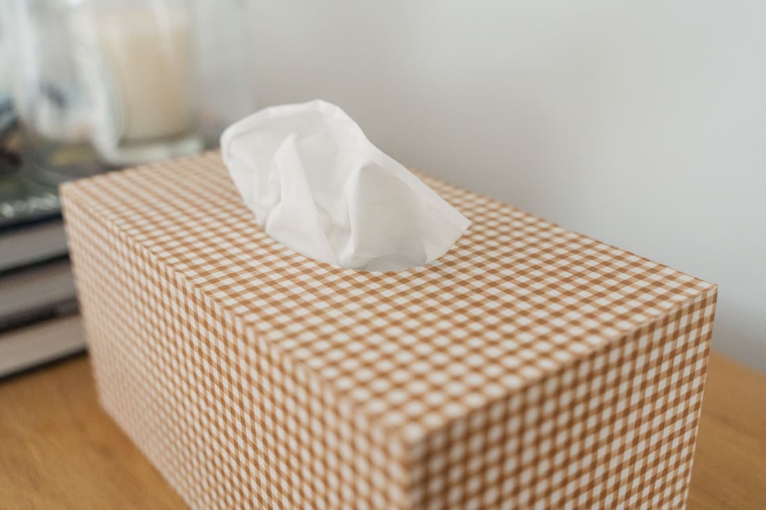 Close up of gingham tissue box