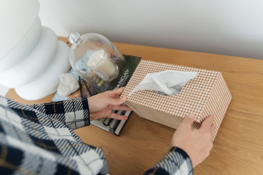 Completed gingham tissue box