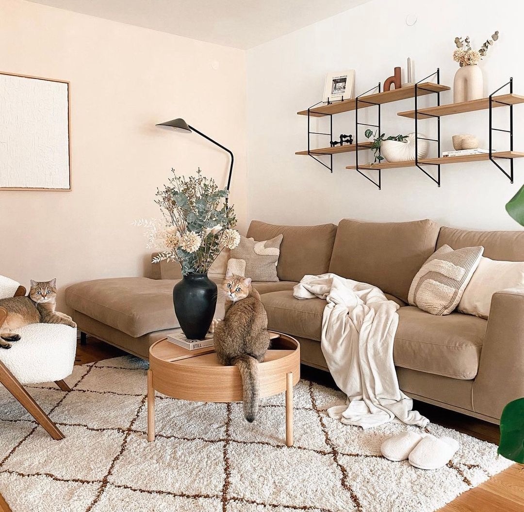 beige living room with brown statement sofa