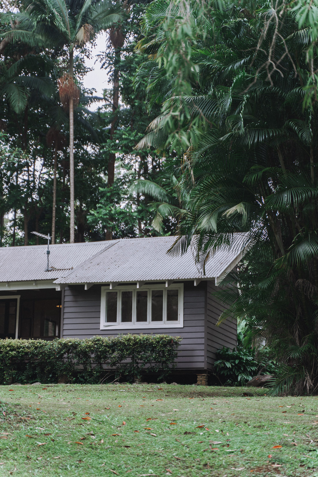 Exterior of home at Fig Tree Villa Byron Bay