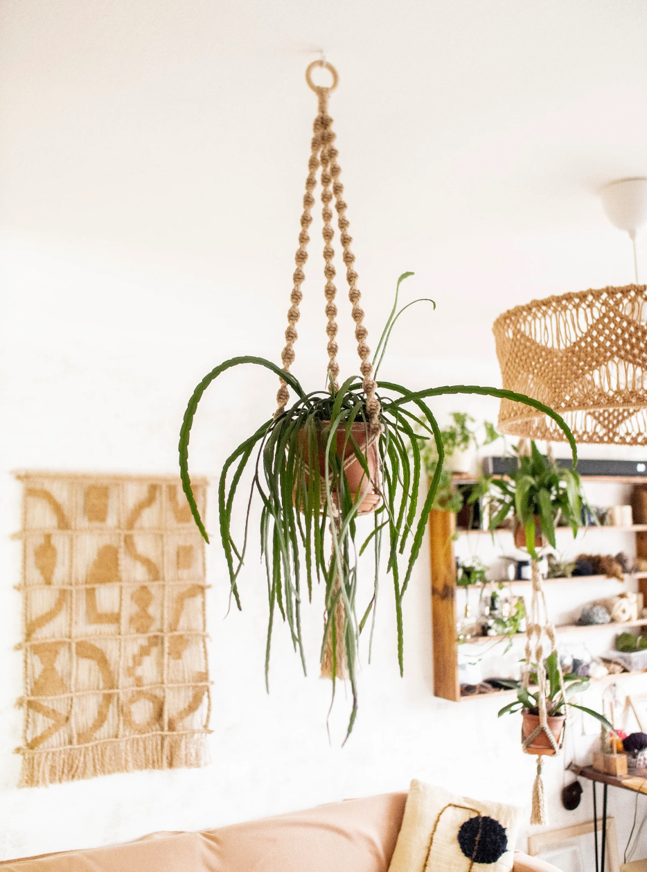 Macrame plant hanger by ito