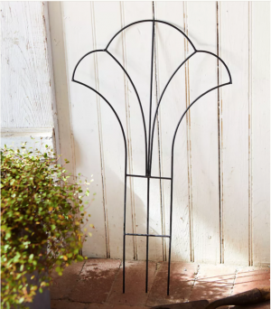 Shaped trellis