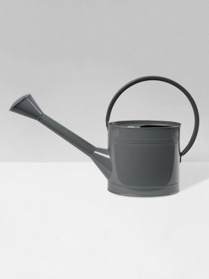 Grey watering can