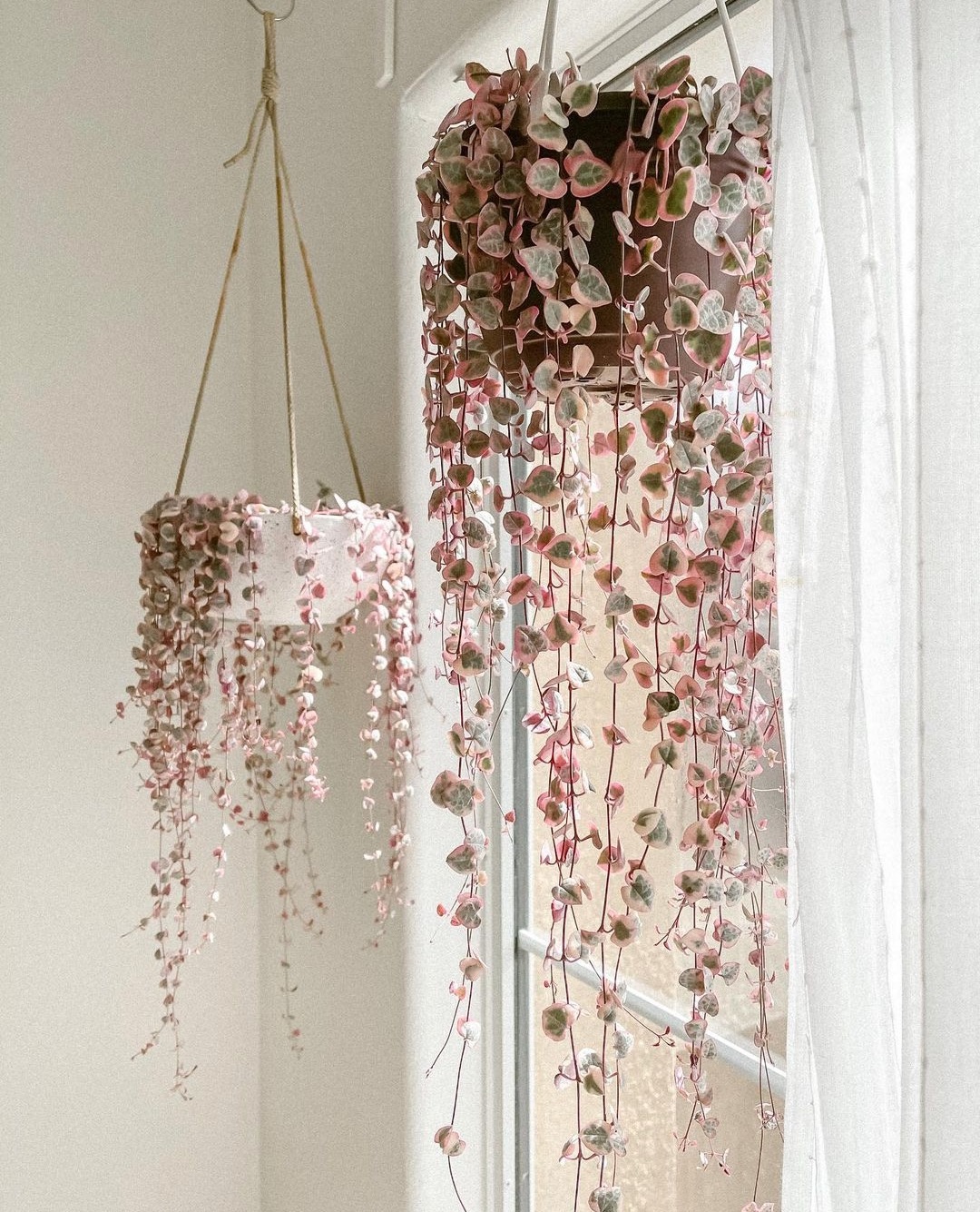 hanging pink string of hearts