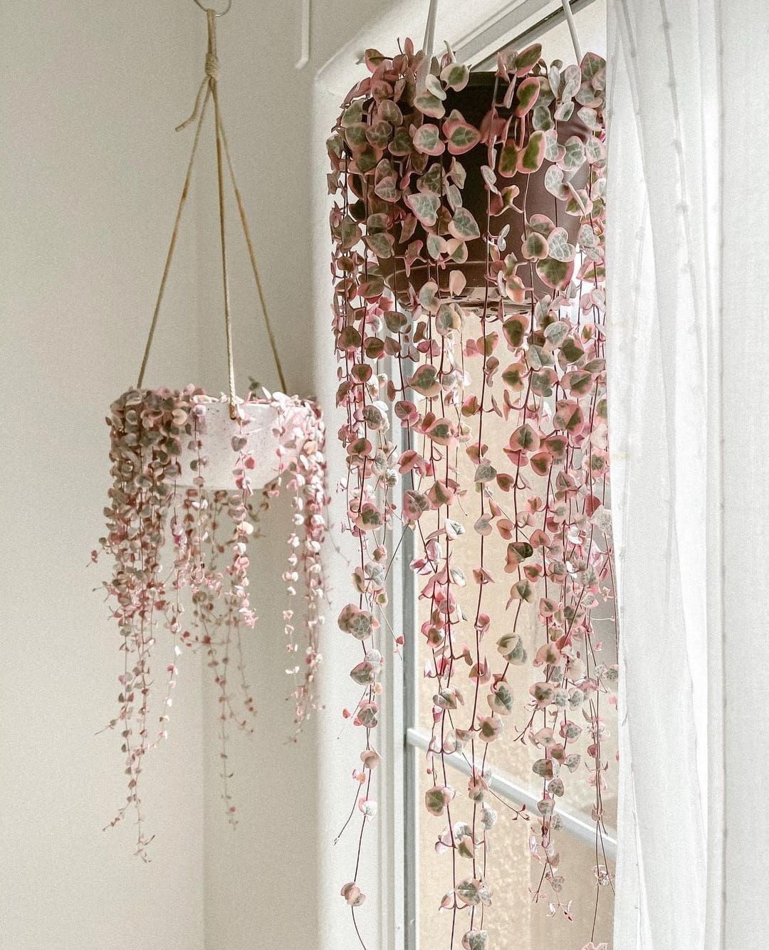 hanging pink string of hearts