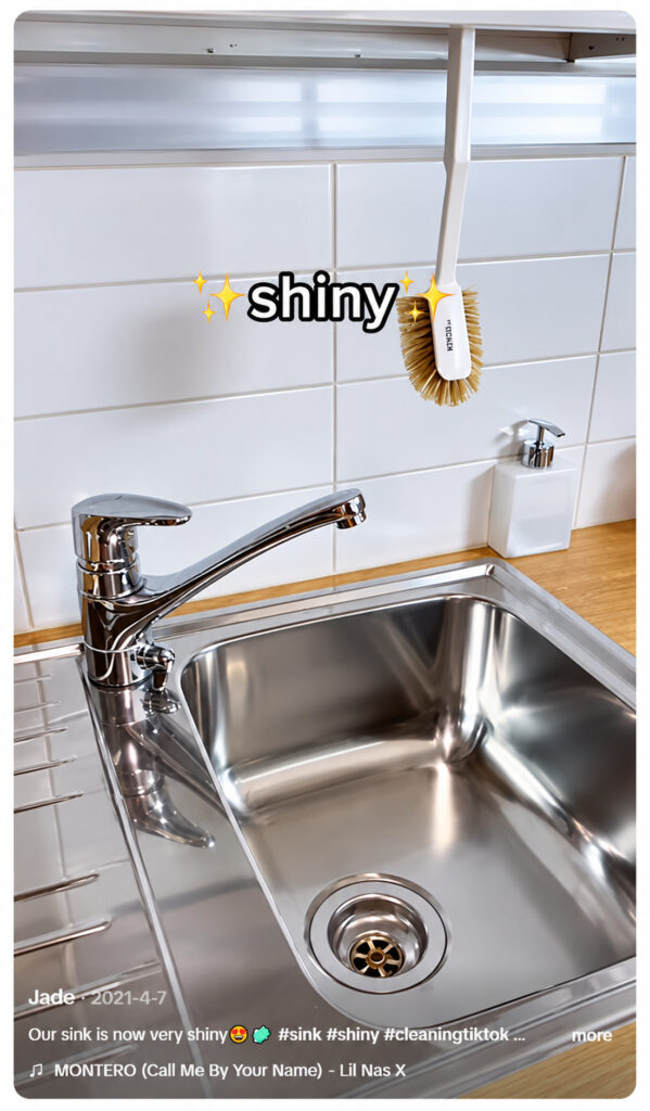shiny_sink_tiktok_preview