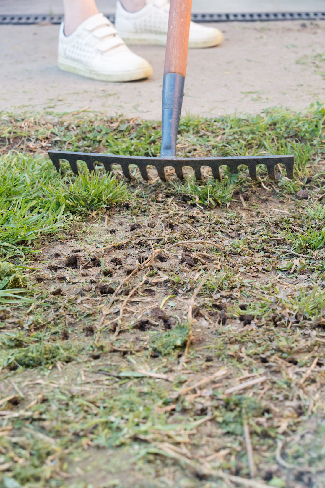 Aerate your lawn to promote growth top tip in spring gardening guide