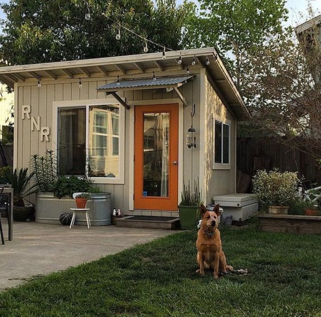 Man cave shed with dog on lawn